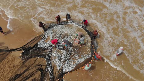 Luftaufnahmen-Eines-Erstaunlichen-Schleppnetzfischfangs-Auf-Der-Insel-Tobago-In-Der-Karibik