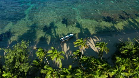 Boat-anchored-on-a-exotic-beach-with-lush-palm-trees-moving-in-the-wind,-aerial