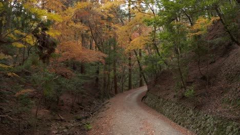Autumn-mountain-road-in-Nara,-Japan