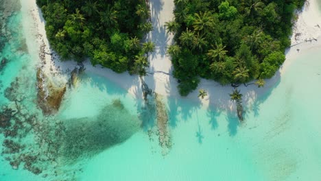 Korallenriffinsel-Der-Malediven-Und-Erhaltener-Natürlicher-Palmenwald,-Umgeben-Von-Sandstränden-Und-Türkisfarbenem-Meerwasser