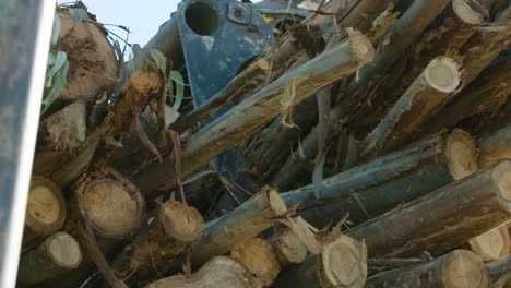 Eucalyptus-logs-dropped-onto-pile-by-crane-claw-arm,-close-up,-60fps