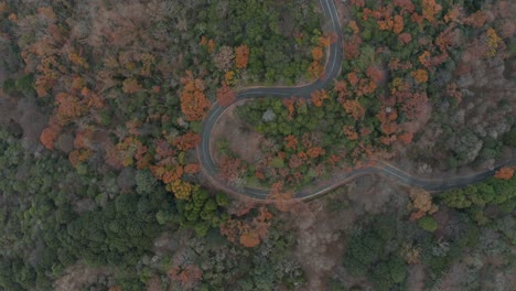 Top-down-and-orbit-aerial-view-of-winding-road-on-hill-in-Nara,-Japan