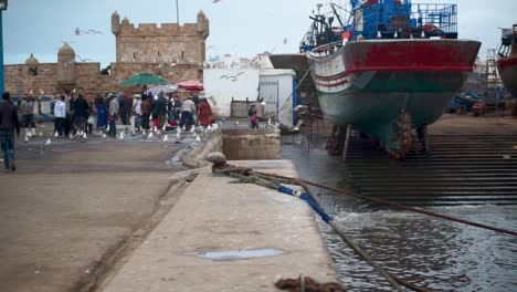 Fish-sellers-in-the-port-area-of-Essaouira,-Morocco-are-deluged-with-seagulls-wanting-treats