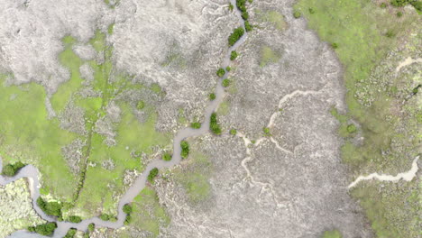 AERIAL-DIRECTLY-ABOVE-Protected-Wetlands-In-Australia