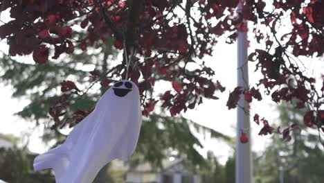 Tracking-in-shot-of-a-scary-Halloween-ghost-decoration-hanging-on-a-blossom-tree-and-swaying-with-the-wind-on-a-sunny-autumn-day-in-a-residential-neighborhood