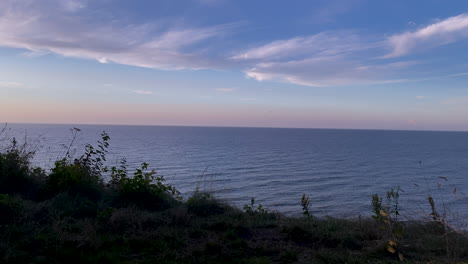 Filmische,-Farbenfrohe-Weitwinkelaufnahme-Der-Ostsee-Während-Der-Blauen-Stunde-Und-Pflanzensilhouette-Im-Vordergrund