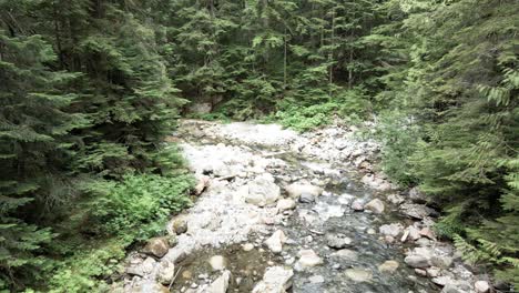 Slowly-following-a-rock-strewn-mountain-creek-between-lush-green-evergreen-trees,-aerial