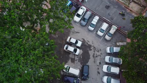 Aerial-birds-eye-shot-of-many-cars-parking-in-area-and-birds-flying-away-from-tree,Malaysia