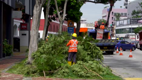 Arbeiter-Beschneiden-Bäume-Entlang-Der-Straße,-Garden-City-Of-Singapur