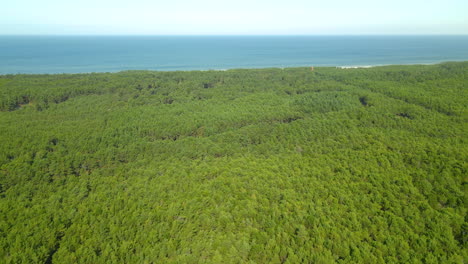 Drone-slide-motion-along-the-baltic-sea-coast-and-green-forest,-Stilo-Lighthouse-in-Osetnik,-Polish-coast-of-the-Baltic-Sea
