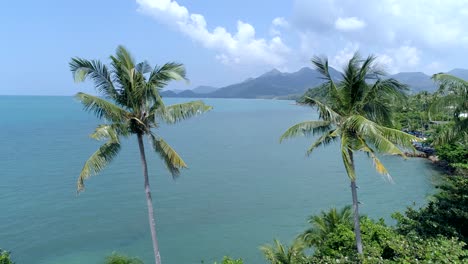 Luftaufnahmen-Zeigen-Palmen-Auf-Einer-Tropischen-Insel-Mit-Blauem-Himmel-Und-Meeresstrandküste