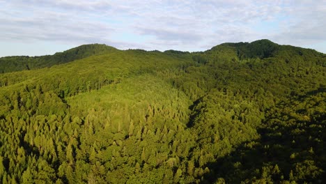 Aerial-view-over-sunlit-forest-and-hills,-in-the-Carpathian-Mountains,-sunny-evening,-in-Ukraine---dolly,-drone-shot