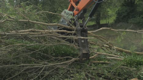 Hydraulic-thumb-on-excavator-releases-load-of-trees-dropping-onto-pile