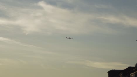 Airplane-flying-next-to-a-bird-on-an-empty-sky-with-soft-cirrus-clouds