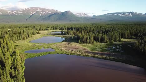 Epische-Wildnislandschaftsszene-über-Der-Grünen-Vegetation-Des-Yukon,-Immergrünen-Baumwäldern,-Ruhigen-Teichen-Und-Schroffer-Rauer-Bergkette-Im-Hintergrund-An-Einem-Sonnigen-Tag-Mit-Blauem-Himmel,-Overhead-Anflug