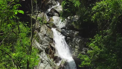 Drohne-Steigt-Dicht-Durch-Grüne-Sträucher-Auf,-Mit-Dem-Wasserfall-Saltos-Jima,-Der-Von-Einer-Kleinen-Felsigen-Klippe-Im-Hintergrund-In-Der-Dominikanischen-Republik-Fließt