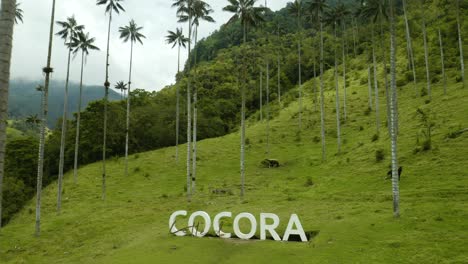 Cocora-Valley-Sign-Revealed-on-Foggy-Day-in-Colombia's-Cocora-Valley