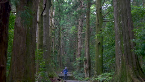 Elderly-Male-Hiker-Walking-Down-Steps-On-The-Koyasan-Pilgrimage-Trail-in-Japan