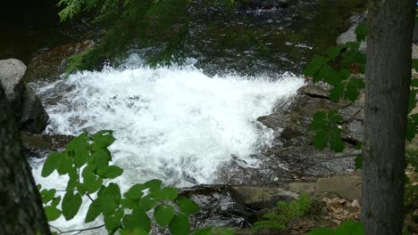 Ein-Kleiner-Wasserfall-In-Einem-Wald,-Quebec,-Kanada,-Mittlere-Aufnahme,-Schwenk-Nach-Links