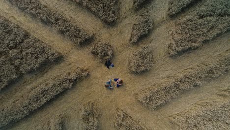 People-sitting-inside-West-Meon-barley-field-strange-crop-circle-pattern-aerial-zoom-in-view-from-above