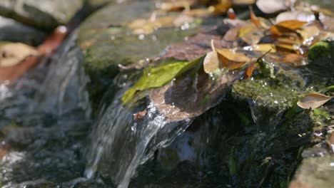 Wasserfall-In-Zeitlupe-Auf-Moosgestein-Mit-Steckengebliebenen-Trockenen-Blättern