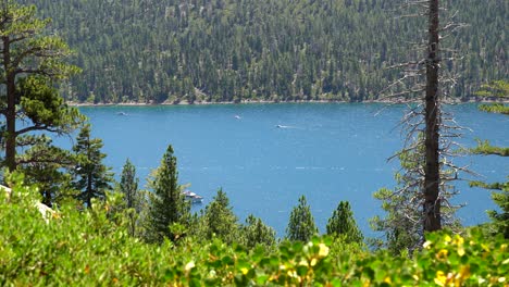 Luftaufnahme-Der-Ufer-Des-Lake-Tahoe,-Kalifornien,-Vereinigte-Staaten