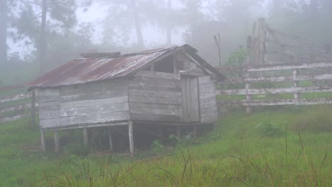 Old-barn-in-misty-forest
