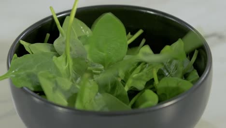 Gießen-Sie-Grünen-Frischen-Spinat-In-Die-Schwarze-Tonschüssel,-Bereiten-Sie-Den-Gemüsesalat-Zu,-Kochen-Sie-Mit-Gemüse,-Vitaminen-Und-Gesunden-Lebensmitteln,-Vegetarische-Mahlzeiten,-Nahaufnahme-Aus-Der-Hand