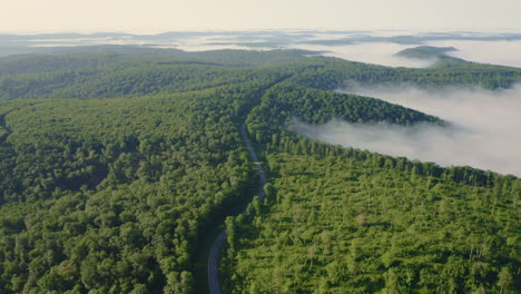 Aerial-drone-flying-forward-through-green-summer-forest-as-rural-mountain-road-carves-through-the-valley-with-morning-fog-flowing-through-the-valley-in-Pennsylvania