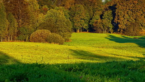 Goldenes-Sonnenlicht-Beleuchtet-Grünen-Rasen-Und-Bäume-Bei-Sonnenuntergang