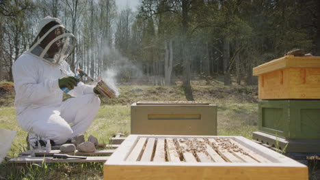BEEKEEPING---Beekeeper-smoking-a-hive-to-prevent-aggressive-behavior,-wide-shot
