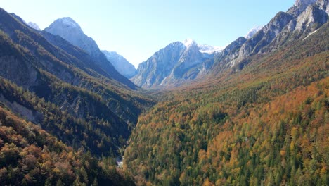 Aerial-View-down-a-valley-filled-with-Autumn-colours-on-a-clear-blue-skies-day-in-the-alpine-country-of-Slovenia
