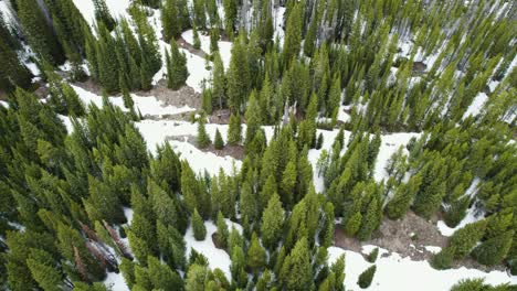 Aerial-view-of-three-hikers-following-snow-covered-trail-in-snowy-forest