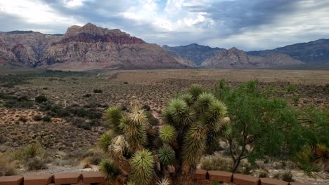 Mountain-panorama-at-a-scenic-roadside-stop-near-Las-Vegas-Nevada