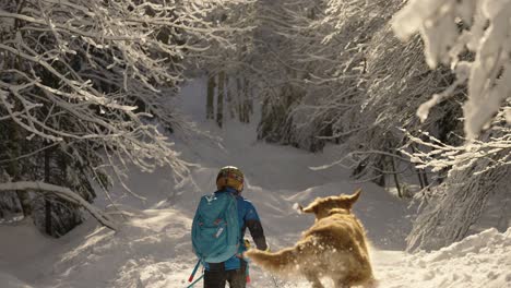 Golden-Retriever-Hund-Jagt-Mann-Beim-Skifahren-Im-Verschneiten-Wald