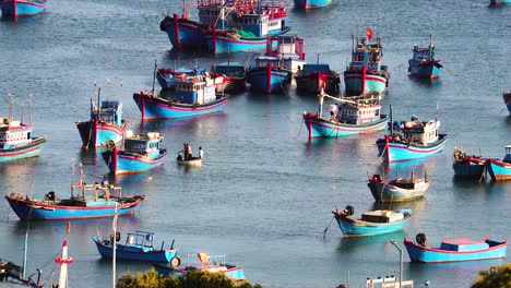 Small-coracle-boat-navigate-between-fishing-vessels-in-Vinh-Hy-Bay,-Vietnam