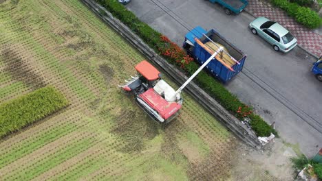 Aerial-drone-footage-Cultivated-rice-paddy-field,-farmer-harvesting-the-crops-with-multifunctional-paddy-harvesting-machine-rice-harvester-tractor-and-loading-to-the-track-at-Doliu-Yunlin-City-Taiwan