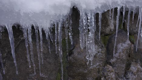 Long-Frozen-Icicles-in-Cold-Winter