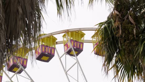 CLOSE-UP-of-Ferris-Wheel-Through-Palm-Trees-Spinning-Slowly
