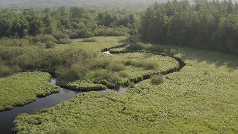 Fluss-Schlängelt-Sich-Durch-Mangroven-In-Richtung-Dichter-Forstwirtschaft,-Luftbild-4k