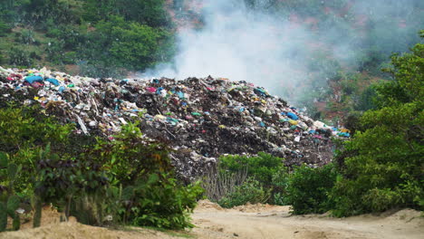 Close-up-of-heap-of-smoking-rubbish-in-an-open-air-dump-in-the-middle-of-a-forest