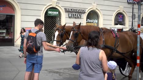 Tourists-in-Vienna,-Austria,-petting-Fiaker-horses
