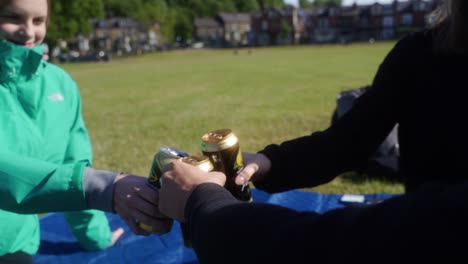 Slow-mo-of-three-friends-having-a-picnic-and-cheersing-drinks-in-Endcliffe-Park,-Sheffield,-England