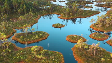 Countryside-marsh-wetland-lakes,-wildlife-habitat,-4K-aerial-view