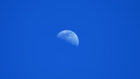 Mond-Im-Ersten-Viertel-Am-Morgendlichen-Blauen-Himmel-Gesehen