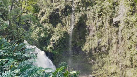 Eine-Stationäre-Ansicht-Eines-Hawaii-Wasserfalls-In-Einem-üppigen-Wald