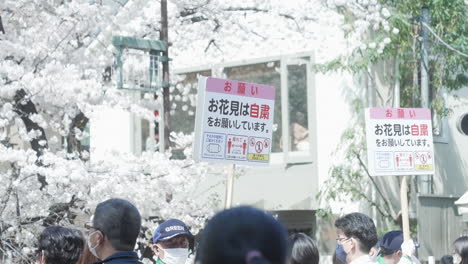 Social-Distancing-Placard-With-Crowded-People-During-Hanami-Japanese-Custom-In-Tokyo,-Japan-Amidst-Pandemic