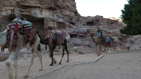 Beduinen-Fahren-Mit-Einem-Kamelzug-In-Die-UNESCO-archäologische-Stätte-Von-Petra,-Jordanien,-Bereit-Für-Eine-Führung