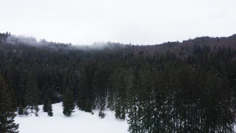 Bosque-De-Pinos-Nevados-En-El-Volcán-Ciomadul-Durante-La-Temporada-De-Invierno-En-Harghita,-Rumania