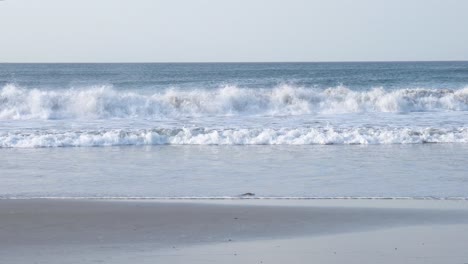 Blaue-Welle-Stürzt-Am-Popoyo-Strand-In-West-Nicaragua-Ab,-Eine-Möwe-Fliegt-Nach-Rechts,-Handaufnahme